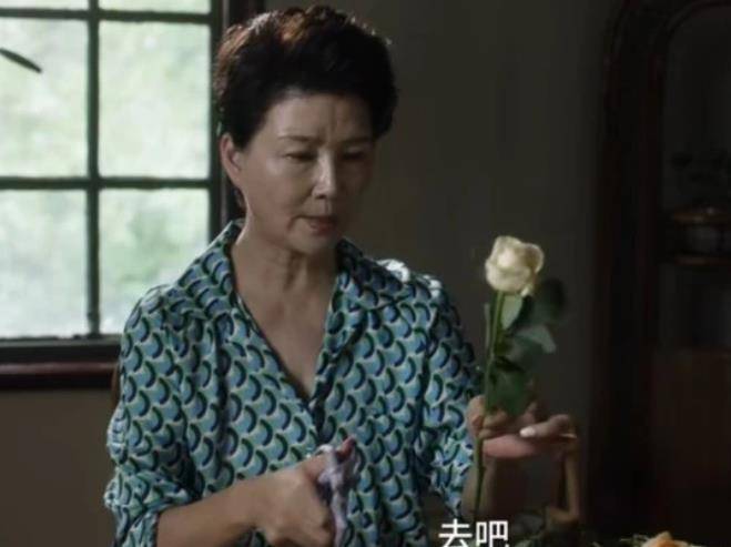 演技|《小舍得》蒋欣演技爆发,穿衣风格看出和南俪地位差距