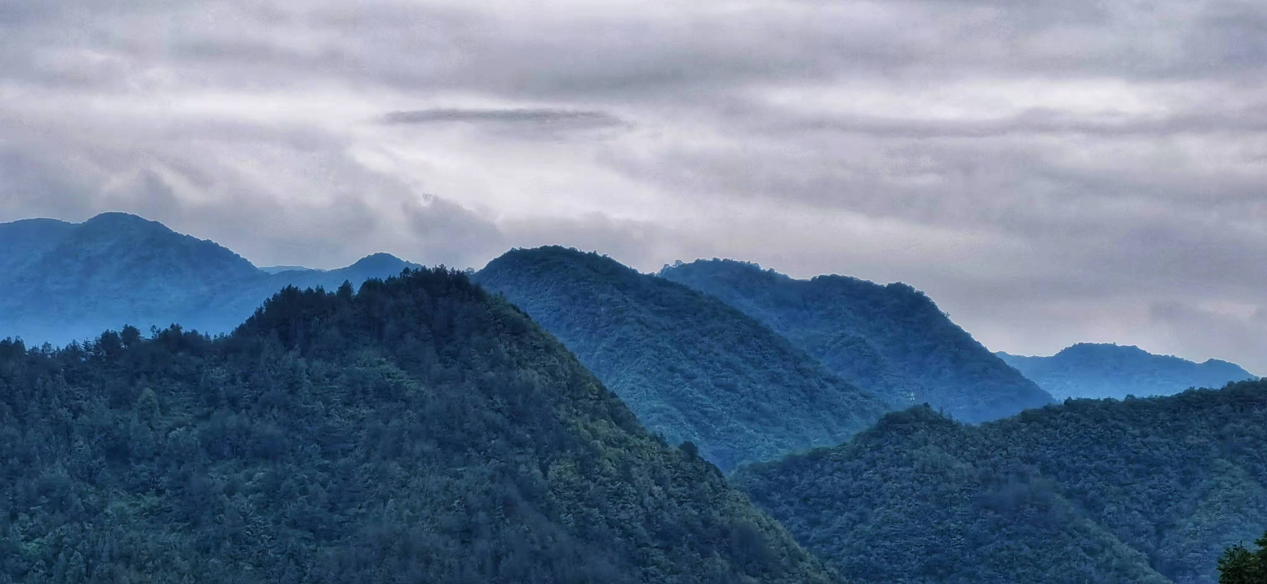 重庆大巴山是国家级自然保护区,位于重庆市的最北端,城口县境内.