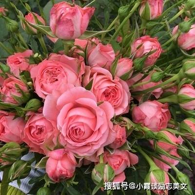 祖坟冒青烟 最旺夫 这6个生日尾数女左手捧金 右手捧银 农历 财运 生辰