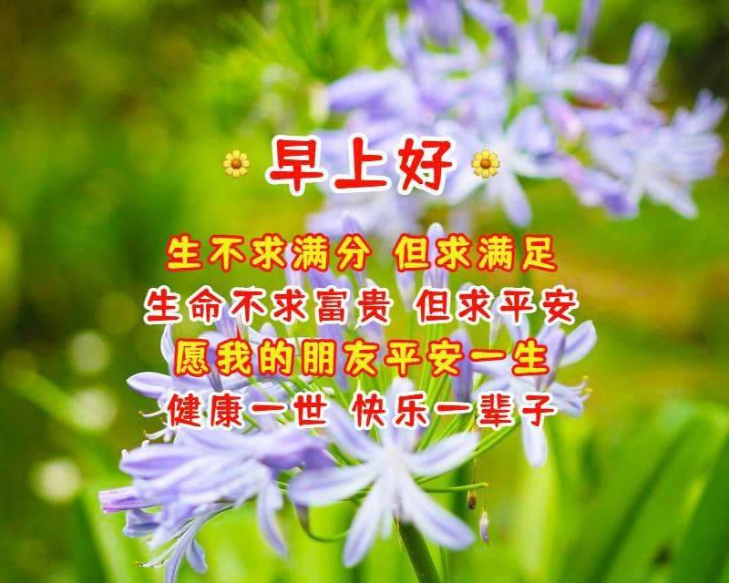 每日早上好祝福語表情帶圖片清早問候朋友的早上好暖心祝福語