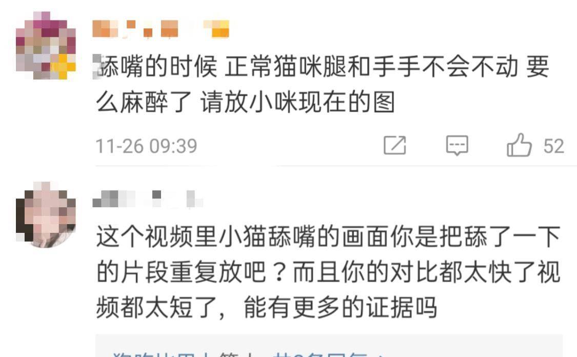 猫咪|《当家主母》疑毒死真猫，画面太真实引争议，剧组澄清毫无说服力