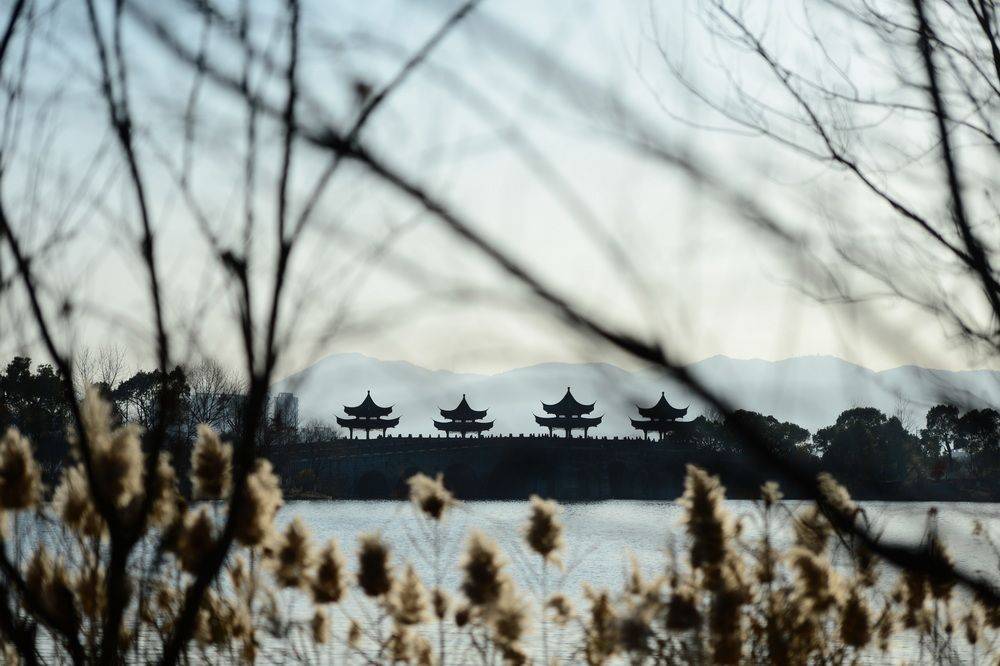 山川|杭州湘湖，芦花正好，天寒之日忆旧年