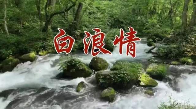 铁道兵|铁道兵战友·抒情诗一组(401期)