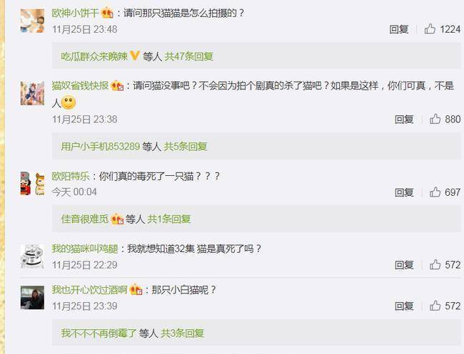 白猫|《当家主母》猫的演技都这么到位了吗，抽搐动作逼真