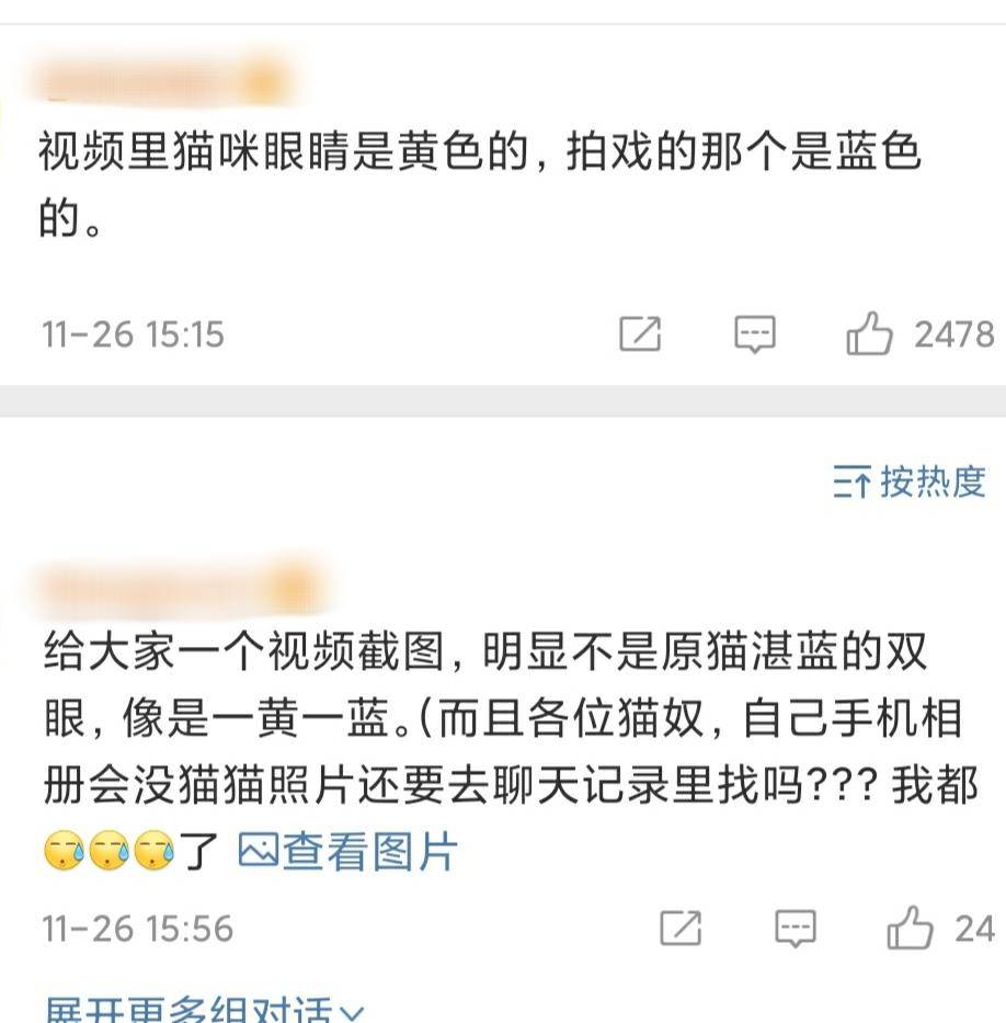 白猫|《当家主母》疑毒杀猫，官方解释太苍白，网友：这不是第一次了