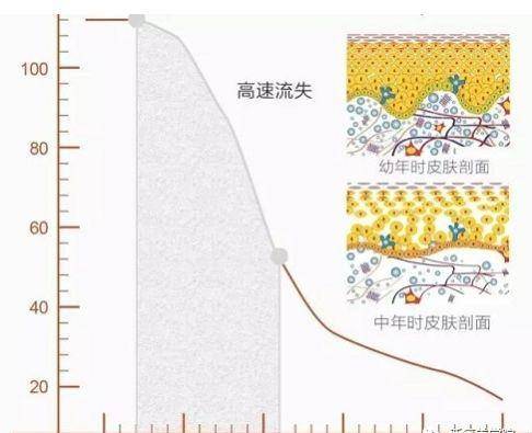 小狐狸清纯又妖孽的“小狐狸”气质成新宠？张嘉倪宋轶还能红