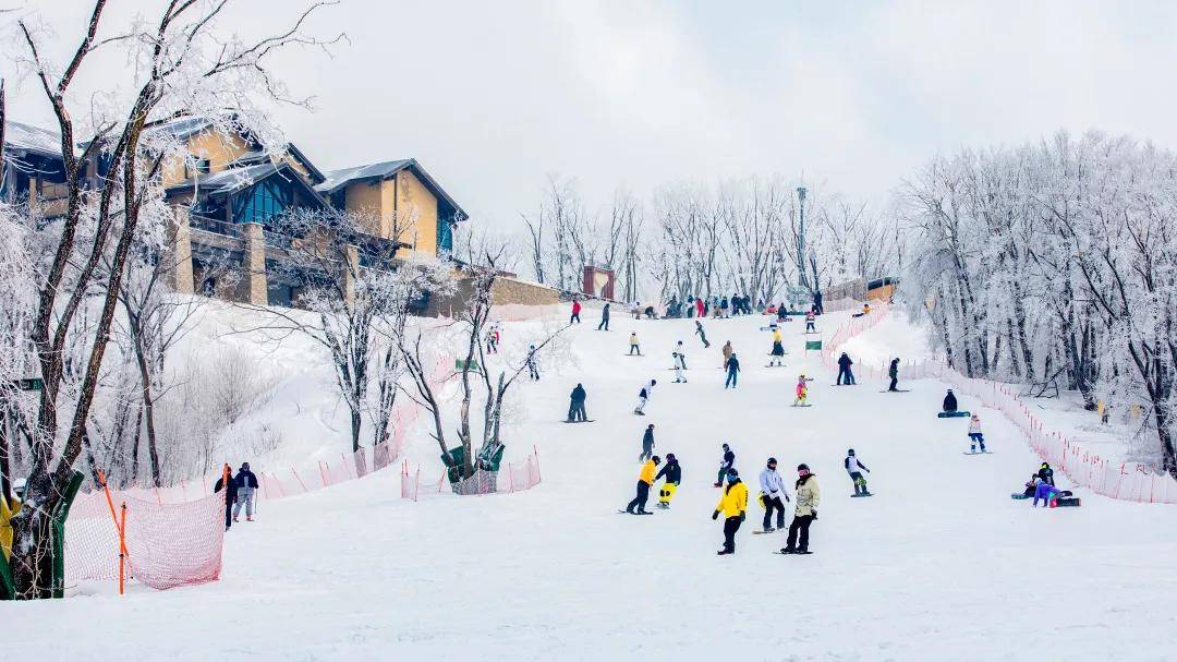 滑雪|两地上榜，晋升国家级滑雪旅游度假地