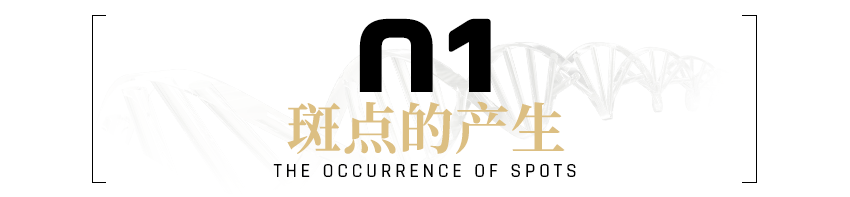 雀斑《水初语莹莹护肤课堂》“老师，斑点一直不消怎么办？”