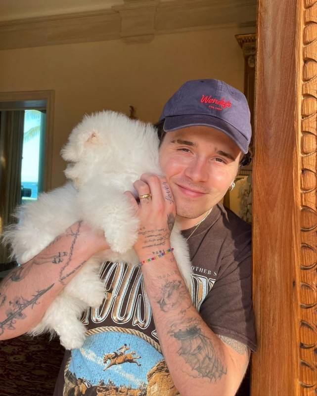 贝克汉姆的大儿子老气横秋眼尾满是褶子大4岁的未婚妻美艳绝伦