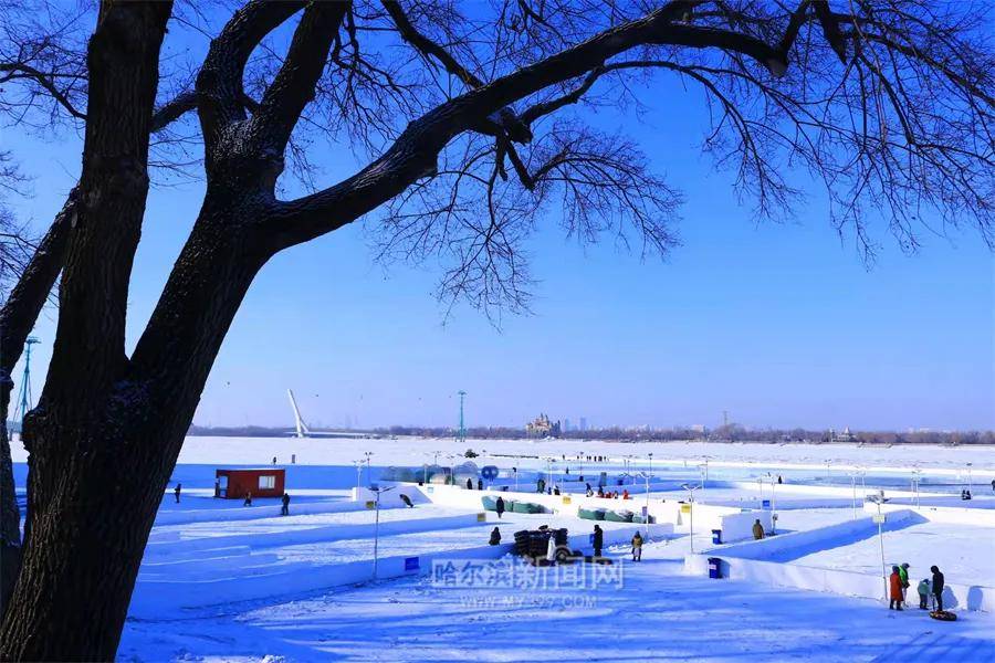 雪地|江沿儿这个著名的冰雪乐园开园了！分时预约入园免费