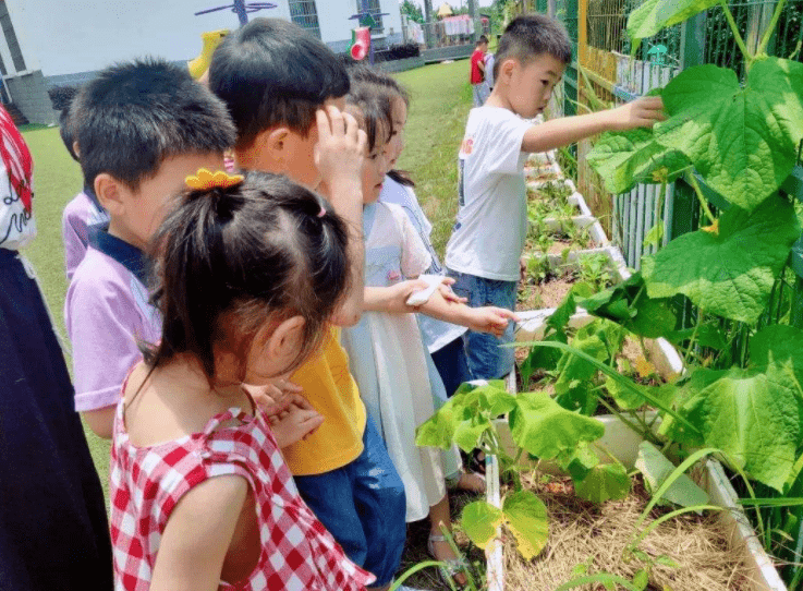 家长|有关部门传来好消息，幼儿园迎来三大变化，幼师也能跟着“沾光”