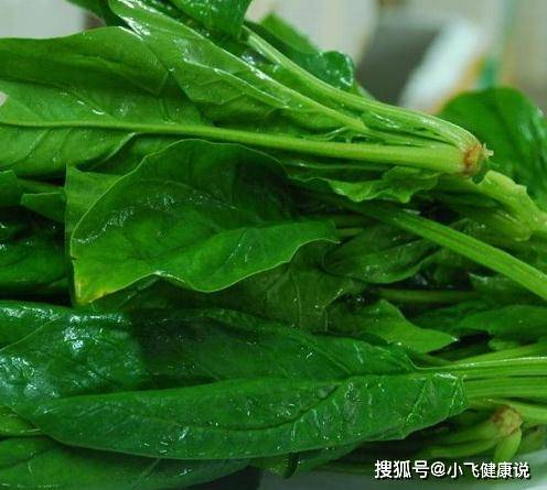 绿叶蔬菜隔夜还能吃吗 50020dbeea7a4deb8b283aaca5a226fb.jpeg