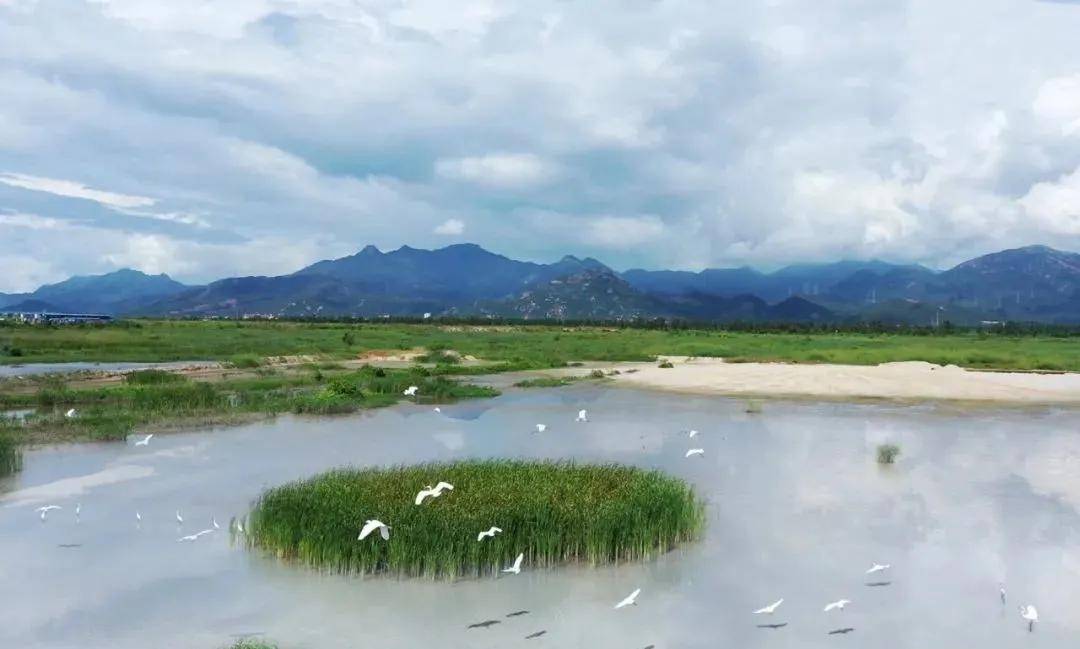 世茂·碧海银湖位于江门市新会银湖湾湿地公园新洲围,地处港珠澳大桥