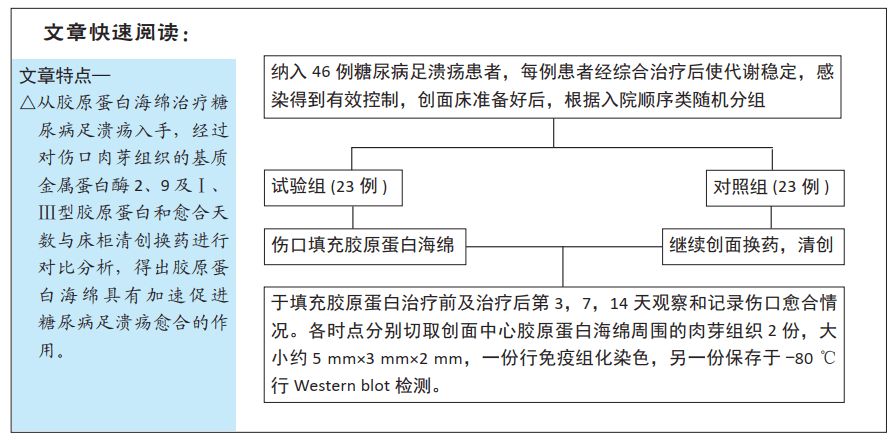 醫用膠原蛋白海綿外敷糖尿病足潰瘍創面Ⅰ,Ⅲ型膠原蛋白和基質金屬蛋