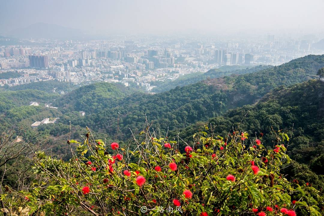 游人如织|久负盛名的广州白云山，常年游人如织，却不受外地游客待见