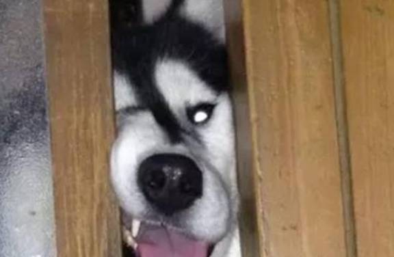 迷迷糊糊的感觉怎么回事 75a87037c66a4f2b82d4c39a4bc93502.jpeg