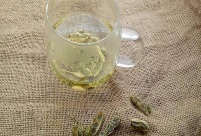 功效|生长在树上的“豆角”,曾是农村娃爱吃的零食,如今吃过的人很少