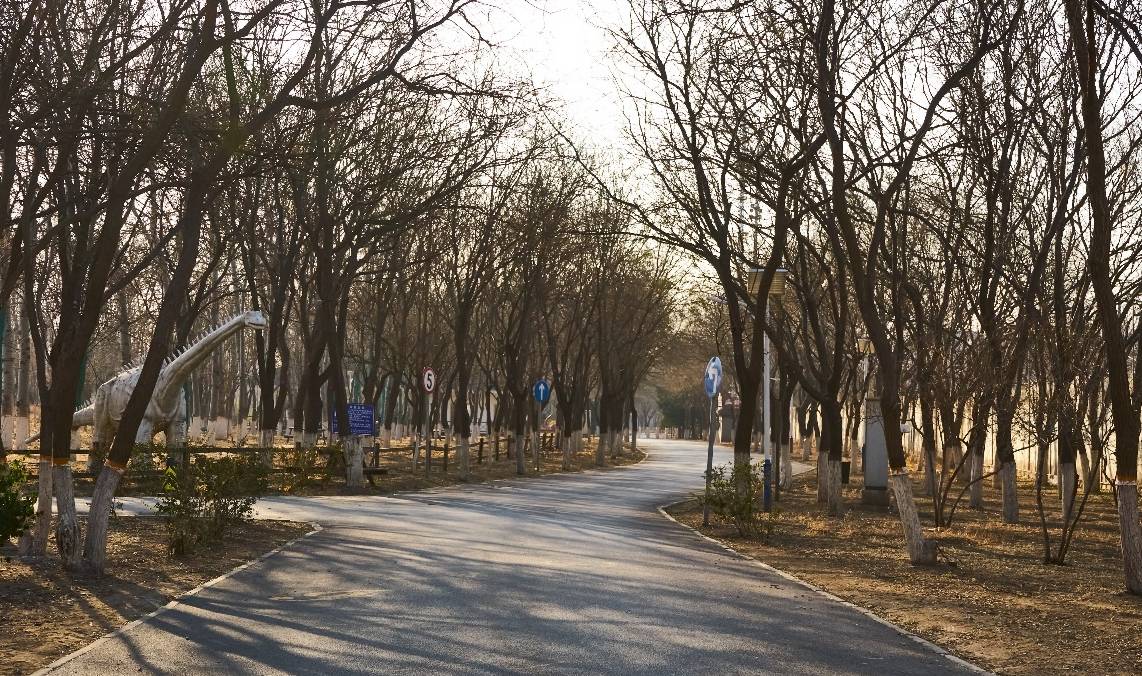 离北京城区最近的露营公园，三四十个足球场大小，还藏着特色小镇