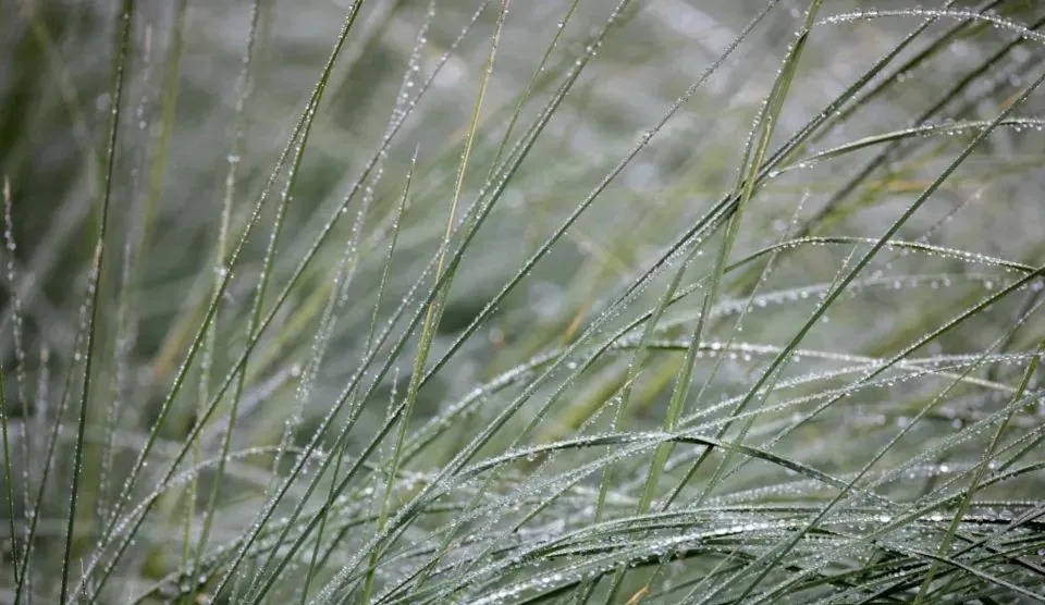 家电企业逆周期扩张求转型,争夺家庭消费主力军地位-家电圈官网