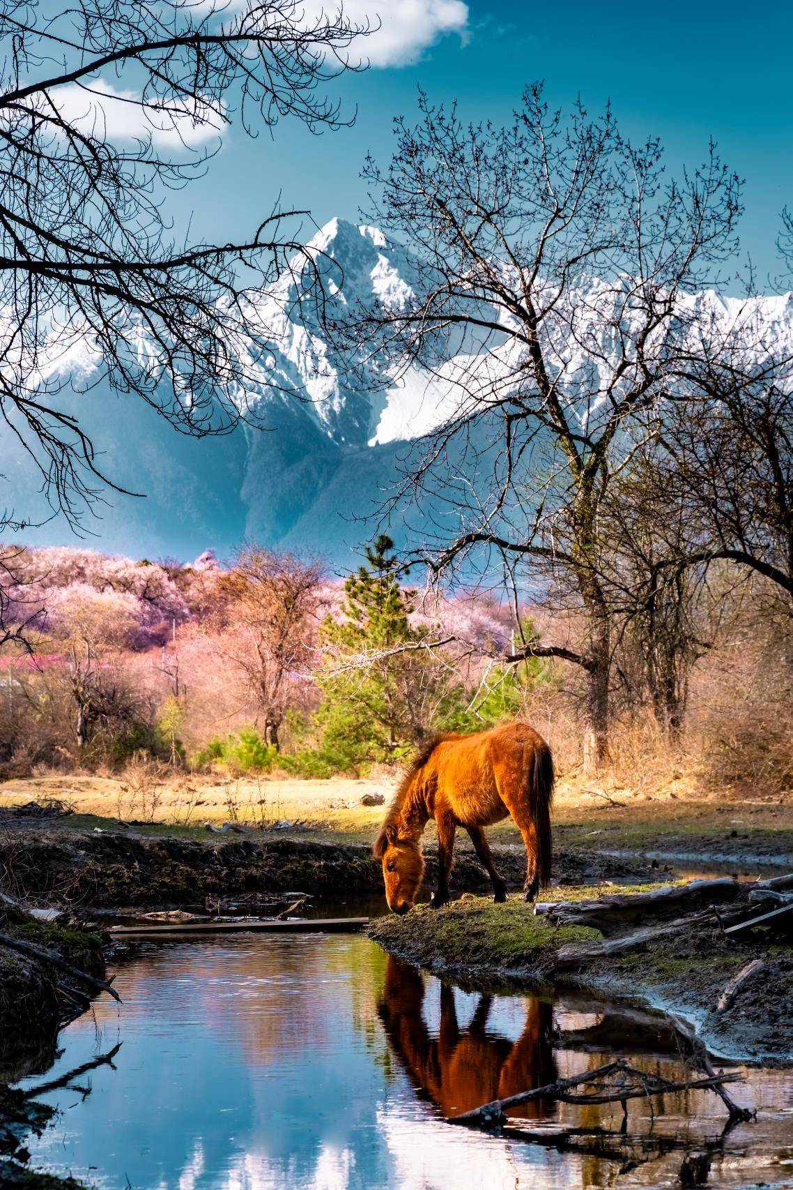 如何用好前景拍摄风光大片?_画面_摄影_线条