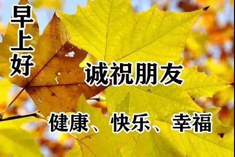 原创早上好问候语图片带字大家早上好表情大全动态图片