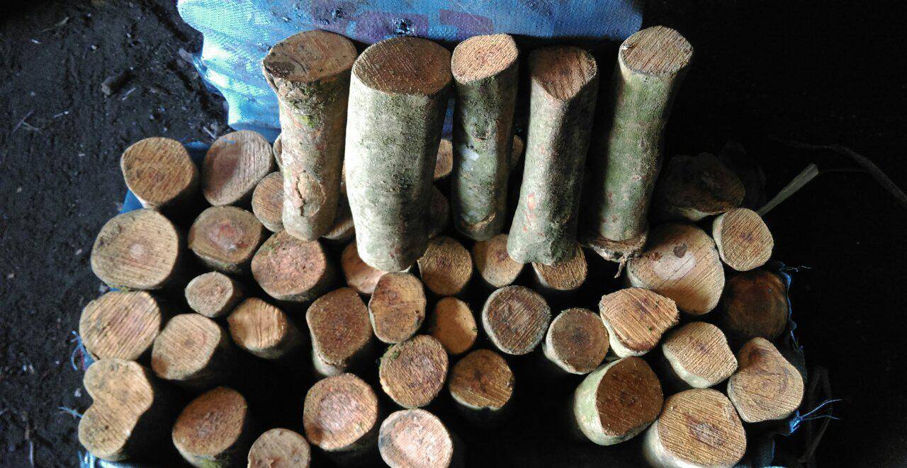 原创农村常见的果木垃圾变废为宝了能卖600元吨农民可别扔了