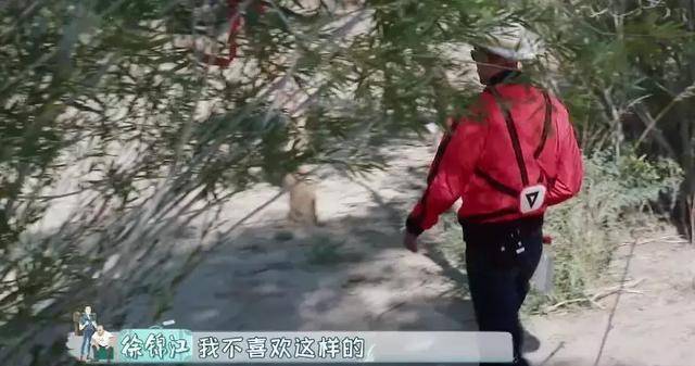 模式|一手好牌要打烂？徐锦江认真生气一整集，“综艺天王”又闹退出