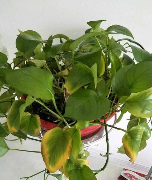 22b22f11449b46dbbc5332d297b46b80.jpeg