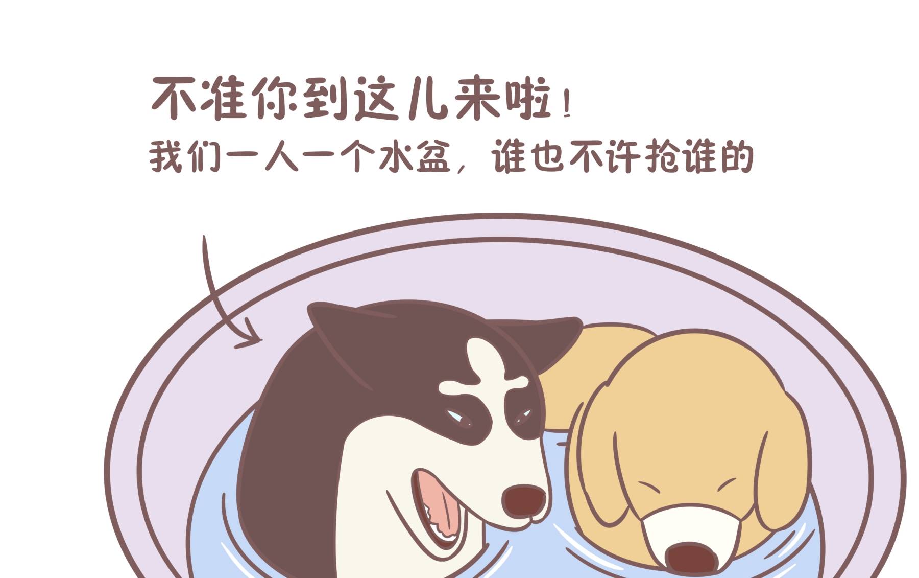 时间铲屎官不努力，俩狗常打架！养狗的你该找找自己的问题了