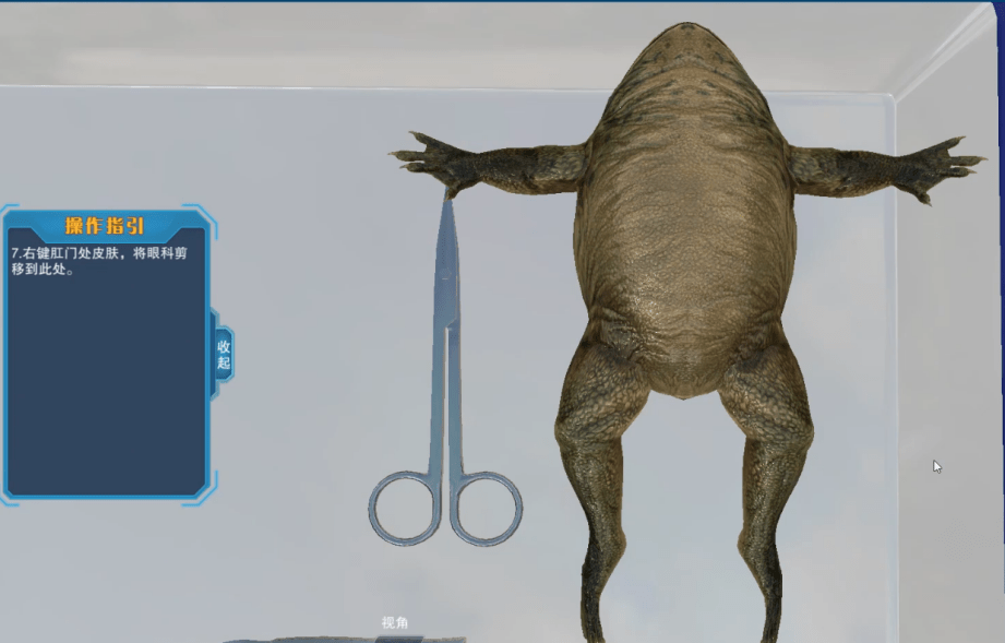 2.大鼠肝切除手术3.软体动物解剖细节二,数字解剖软件1.