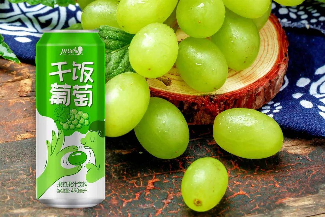 优洋_饮品_果肉