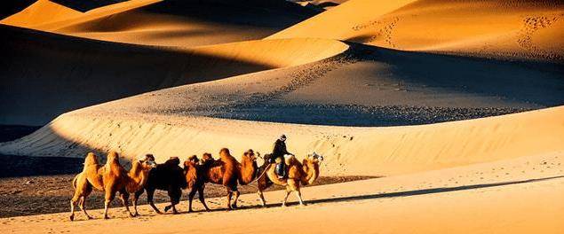 在中国最大的沙漠深处，还有一处原始的部落，住着神秘的200户人
