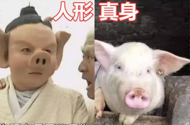 人形|同样是人形VS真身，躲过八戒，躲过重楼，看到白雪：我可以！