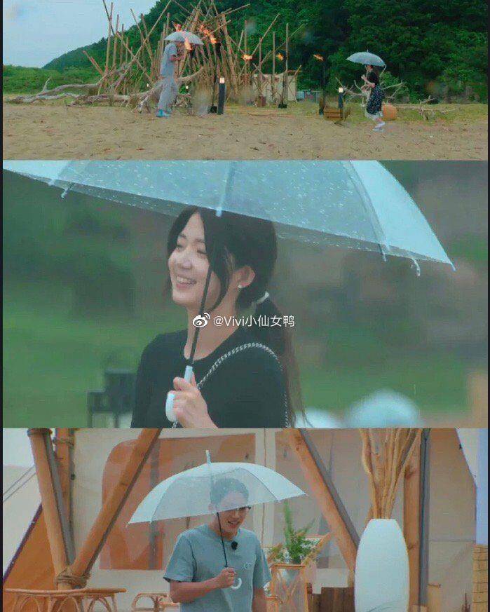 成功|单身即地狱文世勋申芝燕牵手成功