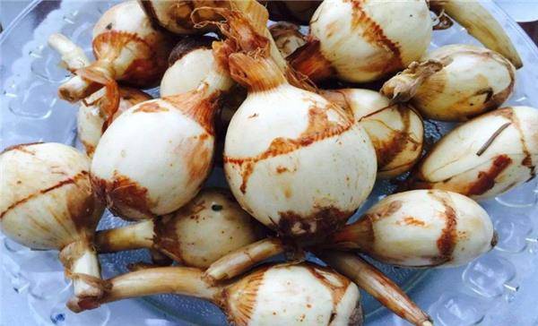 吃什么解百毒 75ad5f40964442a697a54c77e196f3f4.jpeg