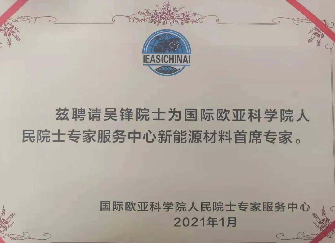 新能源材料首席专家吴锋院士证书大数据首席专家石勇院士证书国际欧亚