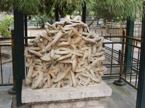 原创故宫御花园有三块奇石为何只有木化石得到了乾隆的题字