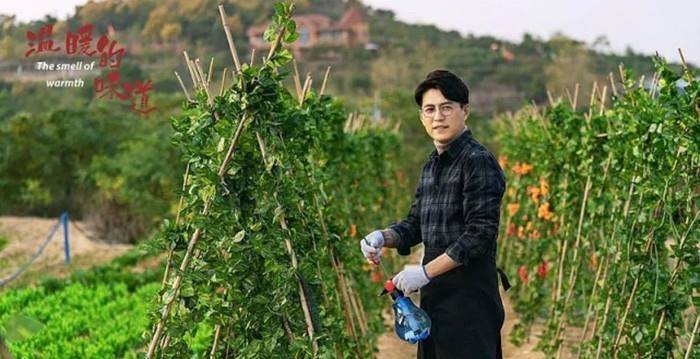 言情剧|收视5网第1,省台也是第1,芒果台用“余生”换来“温暖”不亏