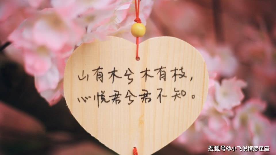 三月十三是什么命 19fc0b2afd2f443f8bc0bf25cf69641c.jpeg