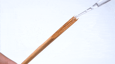 84d1b13684a34f3280632041a5f7d4fe.gif