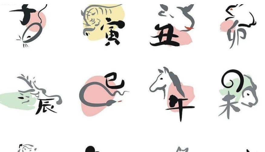 企足而待代表什么生肖，全面解释