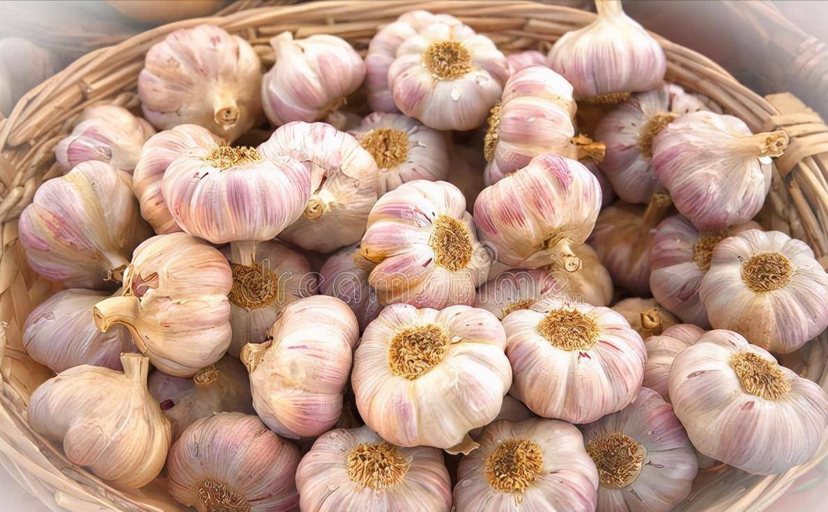 蒜头怎么保存才能不坏 97090bc4f4ec40019f8f3b7243215a86.jpeg