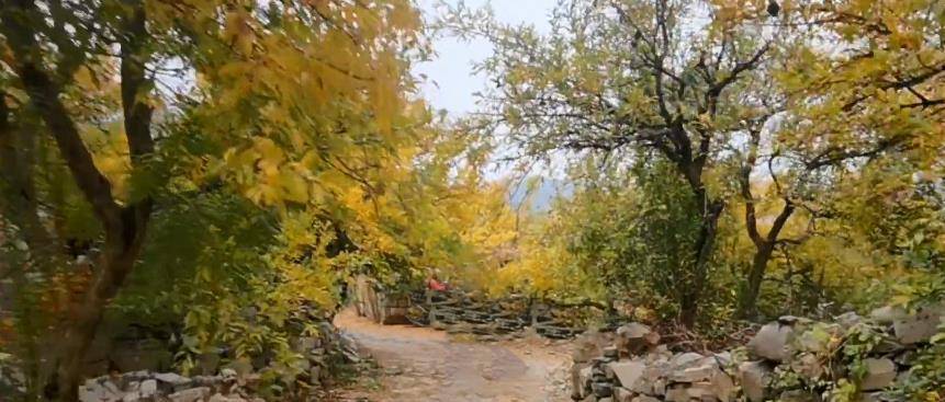 安徽淮北的石头古村，藏在山腰之处，掩映于石榴园里