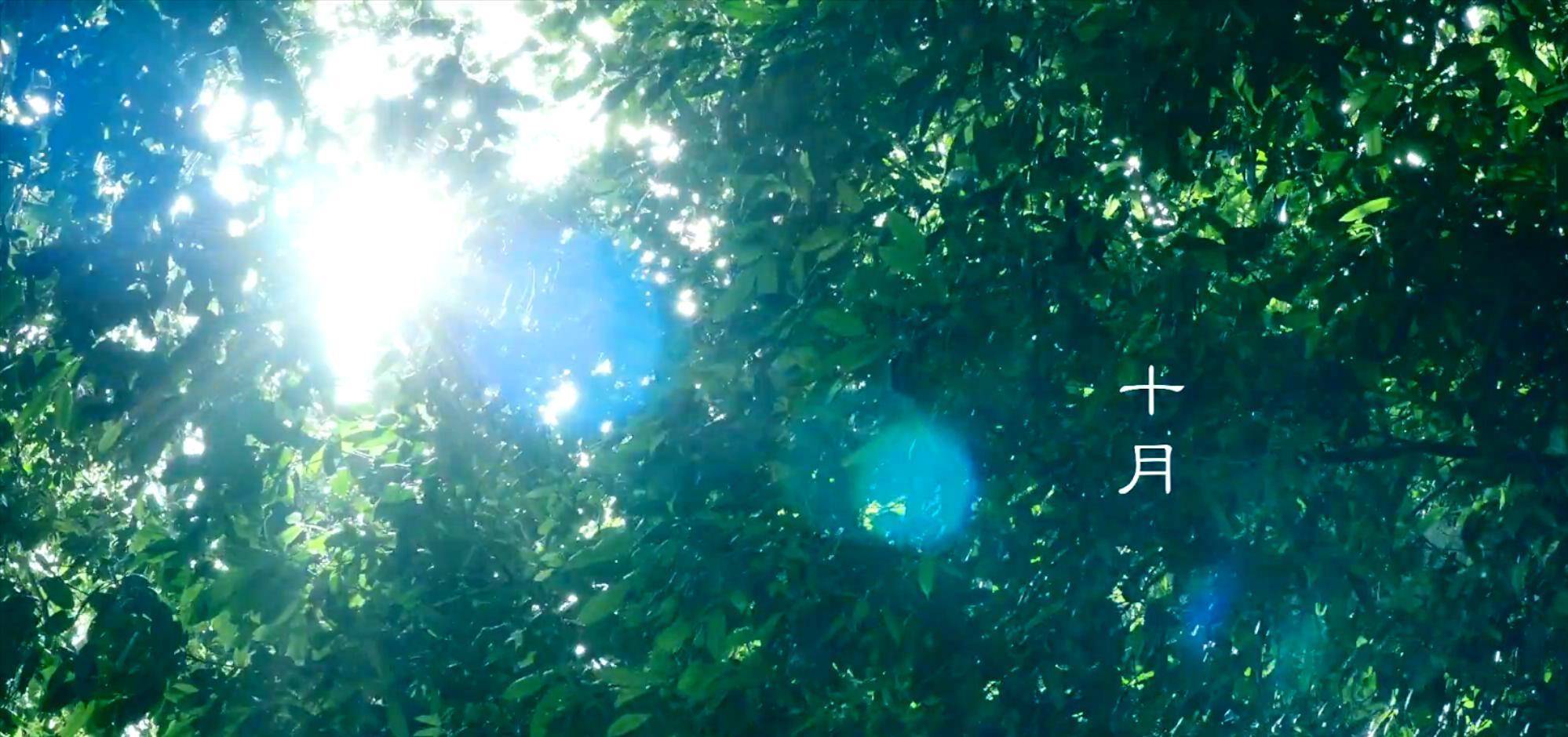 亚洲|号称2021亚洲4大恐怖片之一的《南巫》，其实比《灵媒》更拉跨？