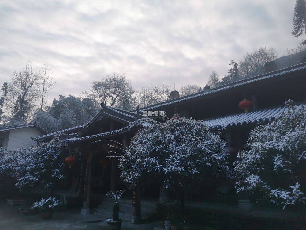 新年初雪！来北川桃龙听雪落的声音～