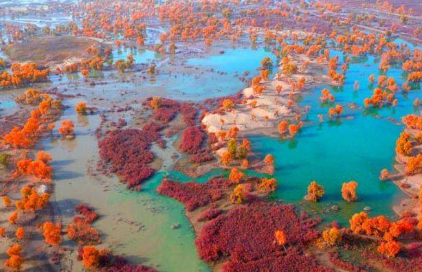 塔里木盆地有哪些丰富的资源 53aba25d5d4243cb86567599c2bac3d5.jpeg