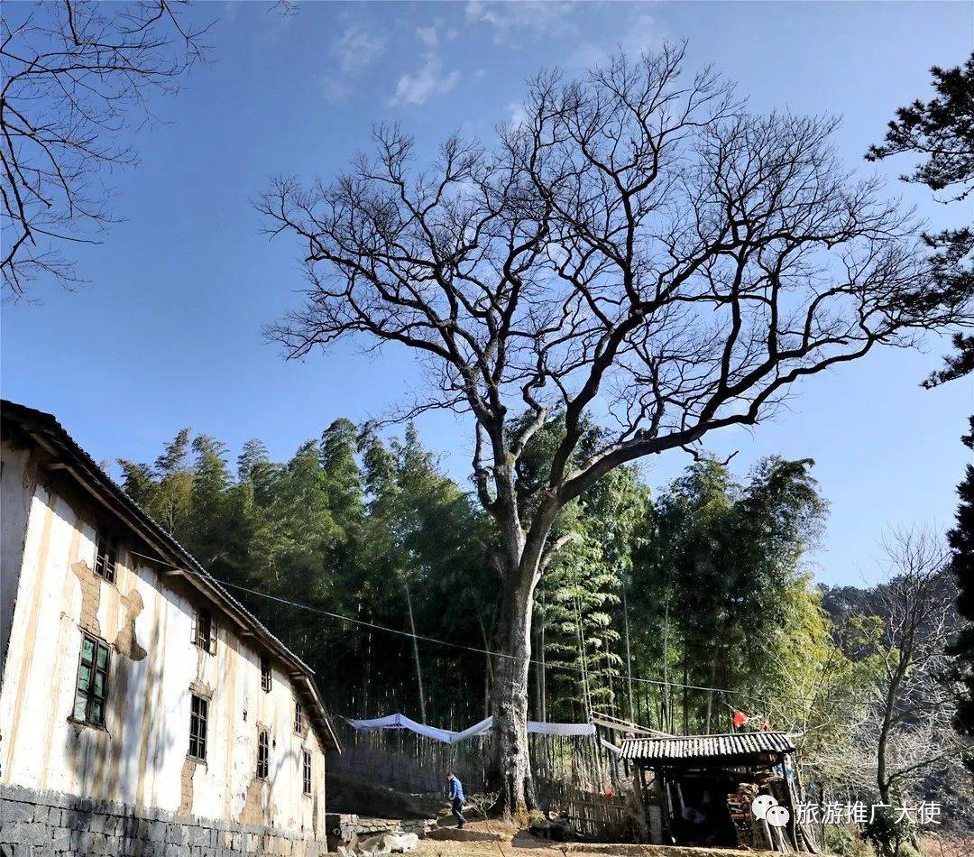 风景区|情牵天堂寨姊妹山——佛顶寨