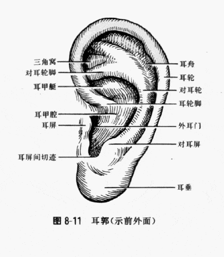 南卡runner pro3体验