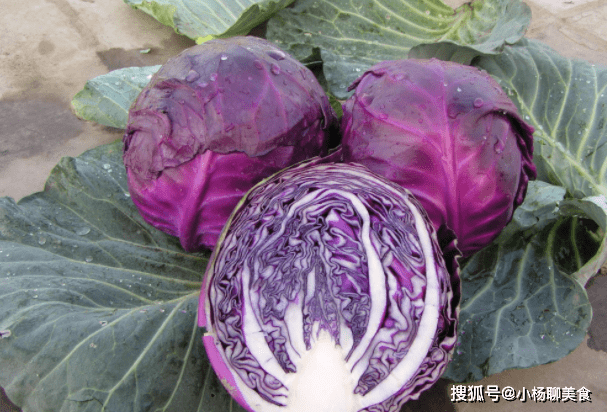 红萝卜养胃 176771d1c42d4b2eaaec78b69057f322.png
