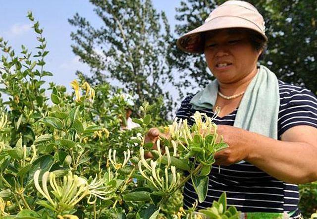 柠檬一到夏天就油光满面？5招帮你扫去多余油光清爽过夏，再也不用愁